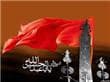 جرات پروانه‌شدن