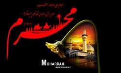 سرخ‌ترین شاخه‌گل دشت