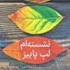 «نشستهام لب پاییز» در بازار کتاب ایران