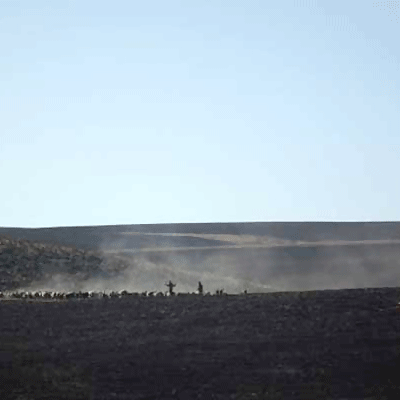 افتتاح نمایشگاه عکس بهرام باجلان در گالری فرشته