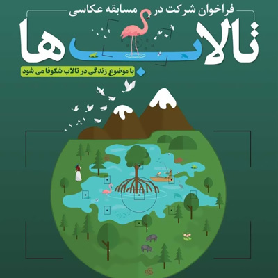 زندگی در تالاب شکوفا میشود
